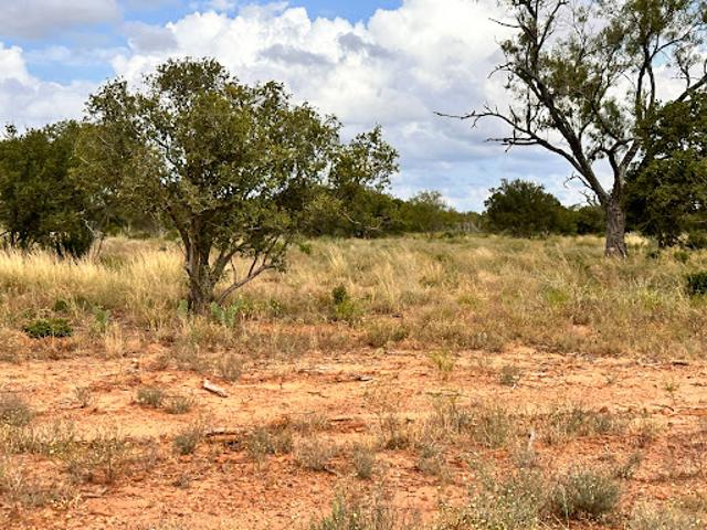 Land for sale in Moore, Texas