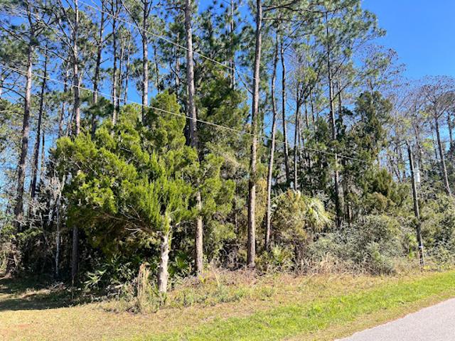 Land for sale in Palm Coast
