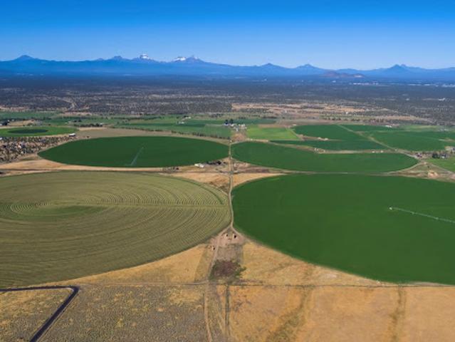 Land for sale in Oregonia
