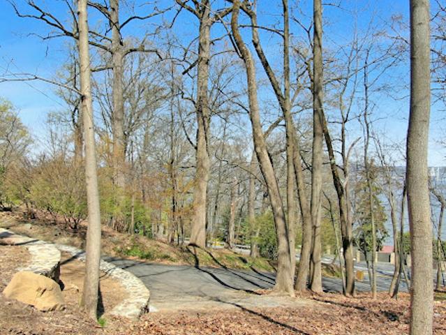 Land for sale in Orangeburg