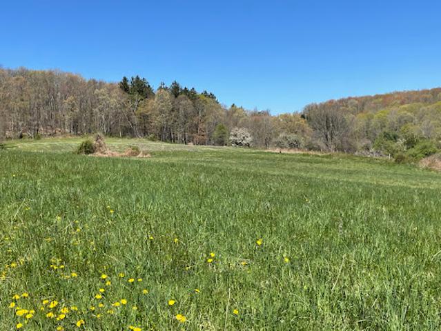 Land for sale in Roxbury, Connecticut