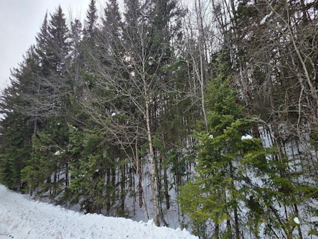 Land for sale in West Dover, Vermont