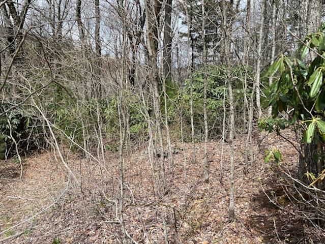 Land for sale in Watauga, North Carolina