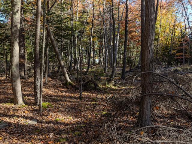 Land for sale in Southwest Harbor, Hancock County