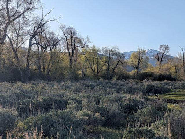 Land for sale in Victor, Idaho