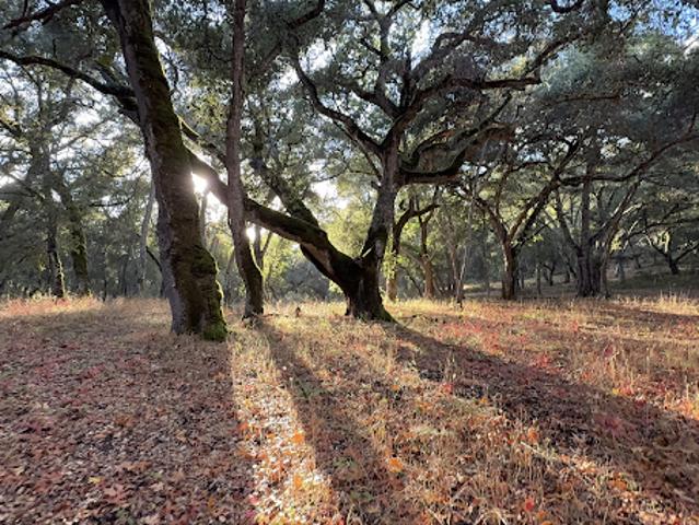 Land for sale in Carmel, California