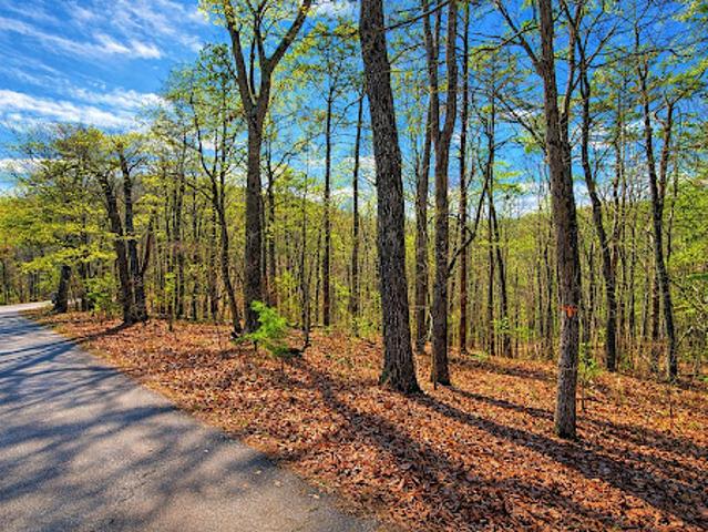 Land for sale in Pickens, Georgia