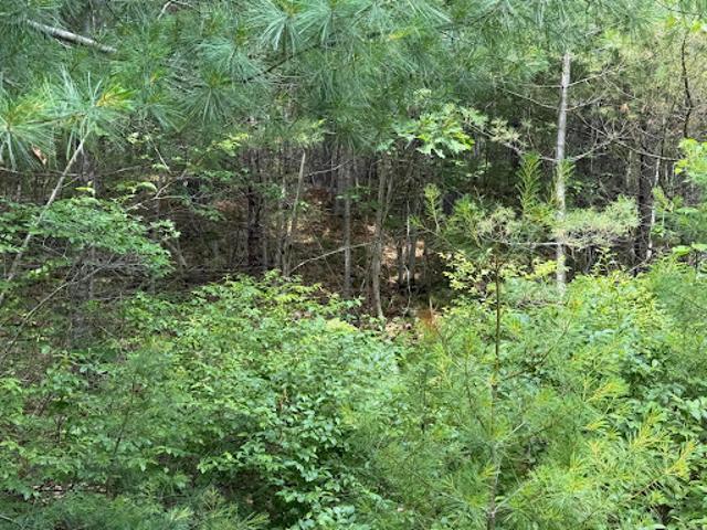 Land for sale in Bremen, Maine