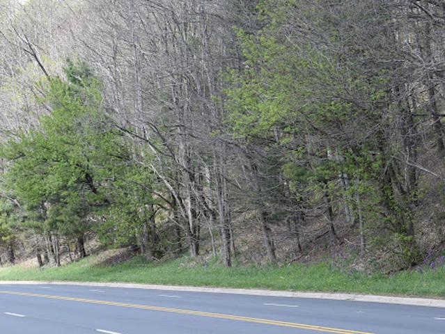 Land for sale in West Jefferson, North Carolina
