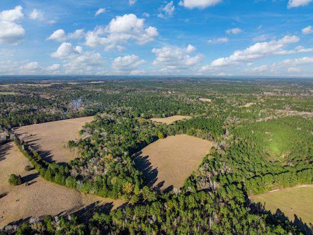 Land for sale in Palestine, Texas