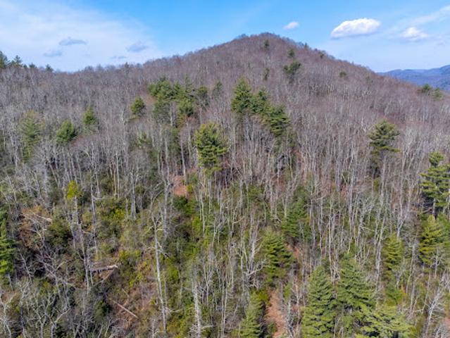 Land for sale in Transylvania, North Carolina