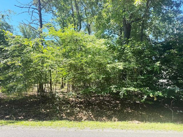 Land for sale in Virginia