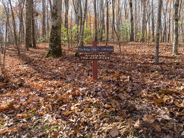 Land for sale in Gilmer, Georgia