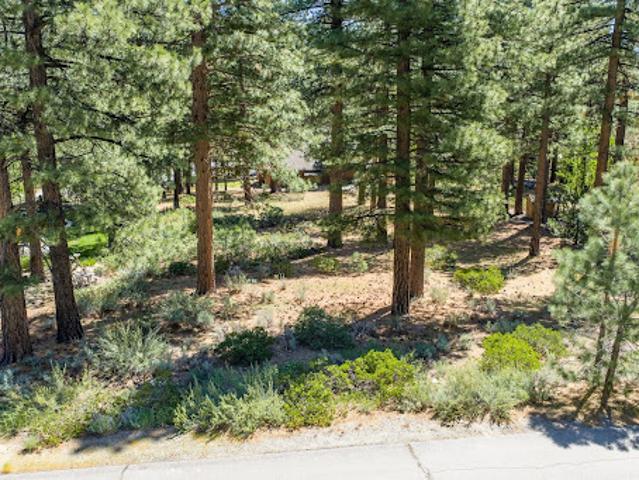 Land for sale in Reno, Nevada