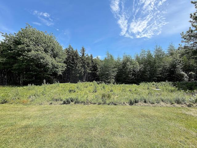 Land for sale in Deer Isle, Maine