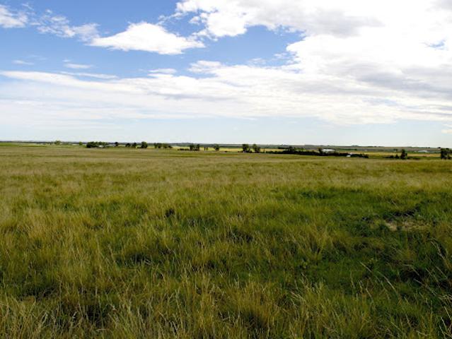 Land for sale in Okotoks, Alberta