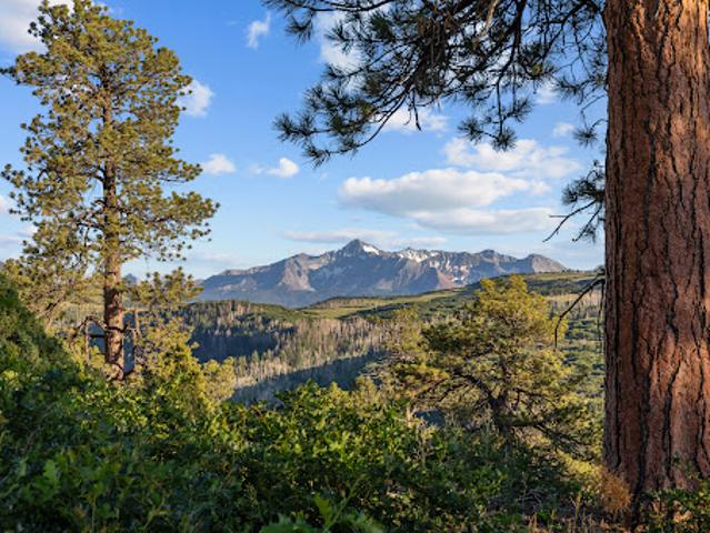 Land for sale in Colorado