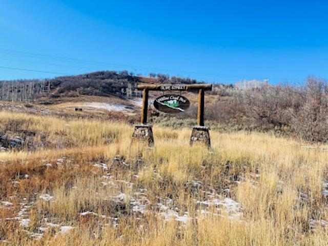 Land for sale in Colorado