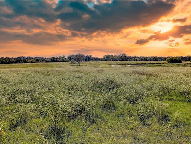 Land for sale in Donie, Texas