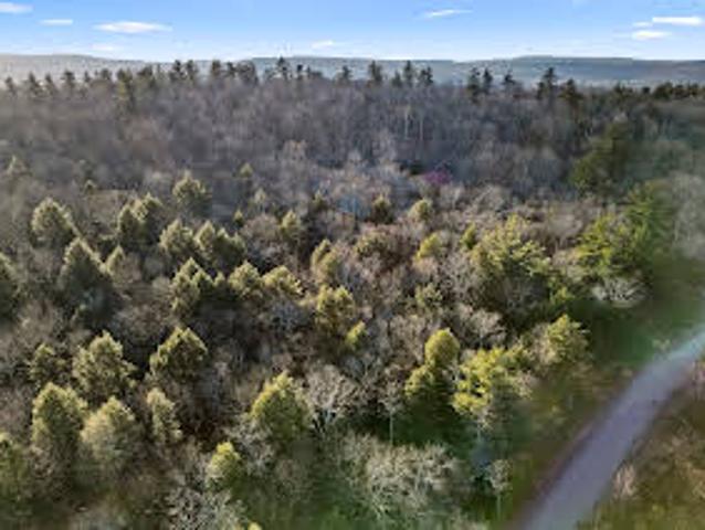 Land for sale in Becket Land for sale in Becket