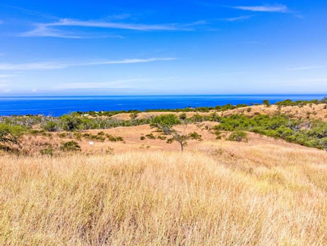Land for sale in Kapaau, Hawaii