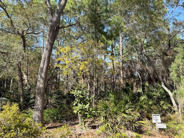 Land for sale in Walton, Florida
