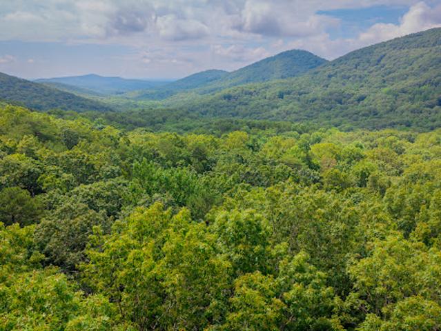 Land for sale in Atlanta Land for sale in Atlanta