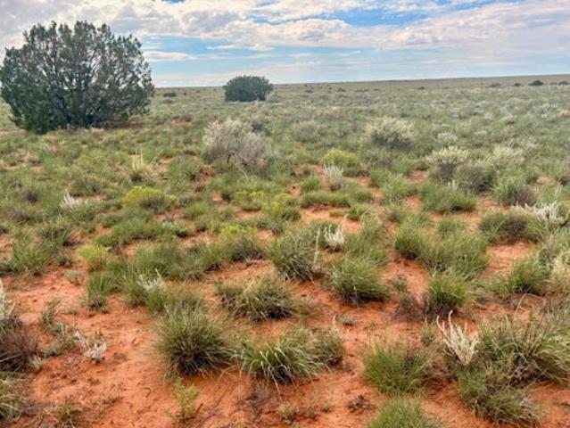 Land for sale in Navajo, Arizona