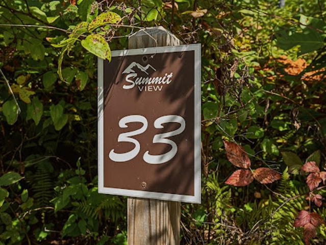 Land for sale in Spruce Pine, Mitchell County