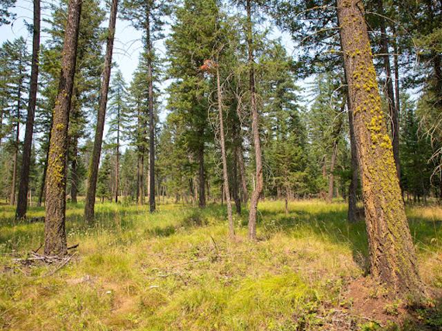 Land for sale in Kalispell, Montana