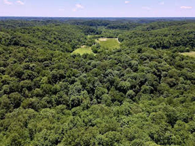 Land for sale in Ashland City