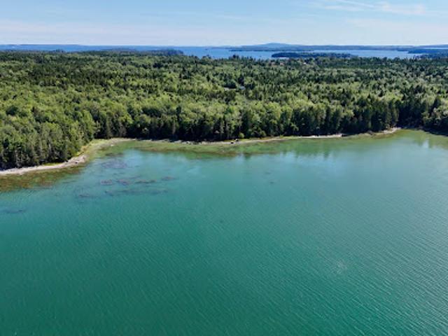 Land for sale in Brooklin, Maine