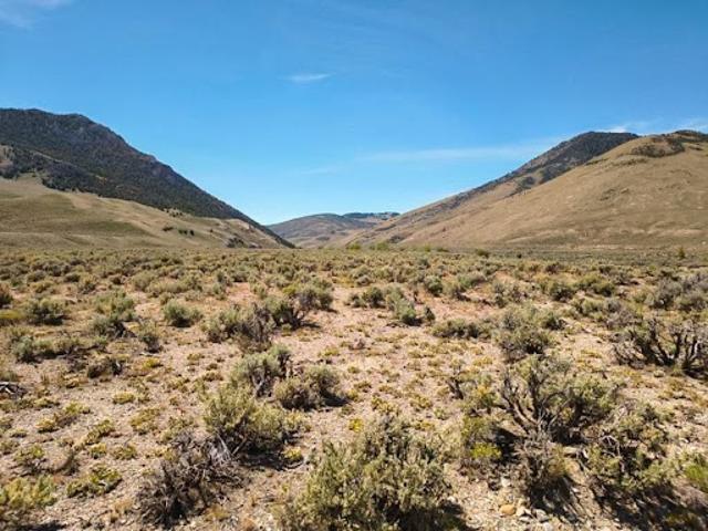 Land for sale in Stanley, Idaho
