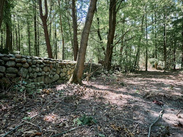 Land for sale in Camby, Indiana