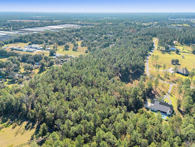 Land for sale in Eustis, Florida