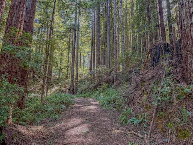 Land for sale in Fort Bragg, California
