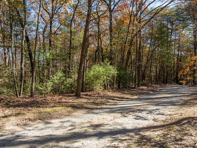 Land for sale in Gilmer, Georgia