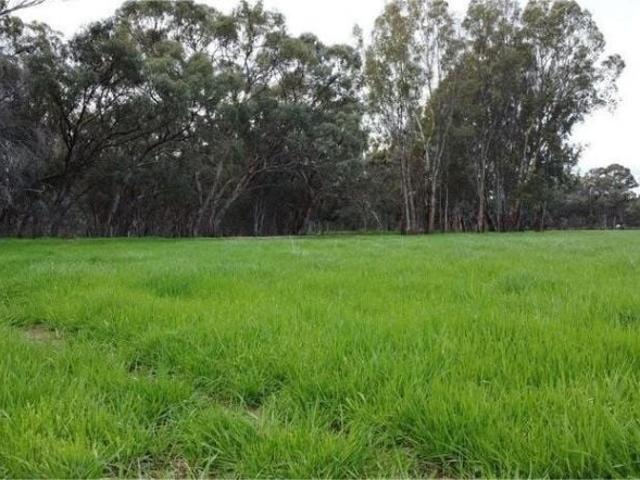 Property for sale in Echuca Village, Victoria