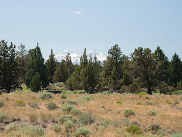 Land for sale in Oregonia