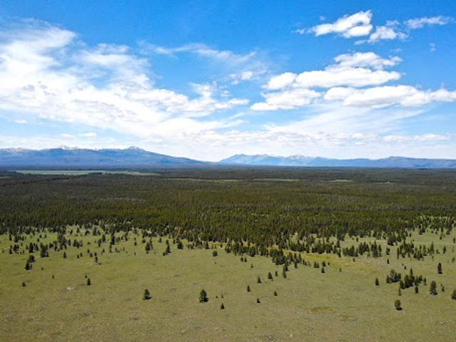 Land for sale in Island Park, Idaho