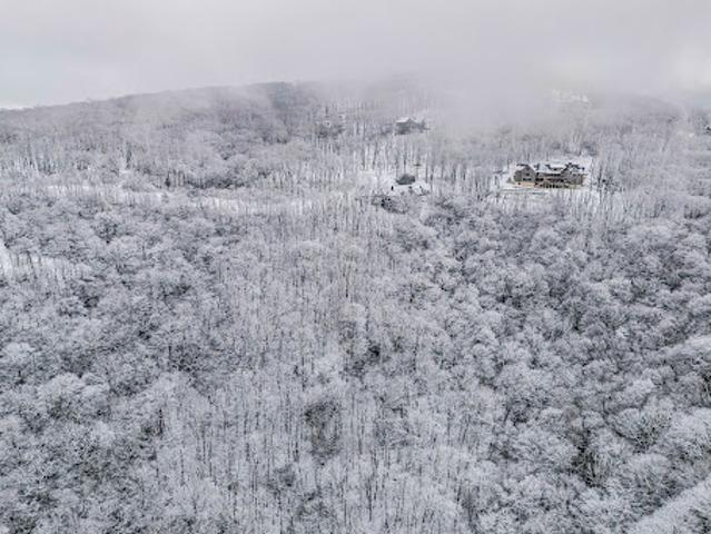 Land for sale in North Carolina