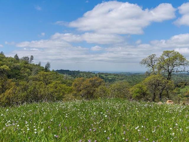 Land for sale in Sutter Creek, California