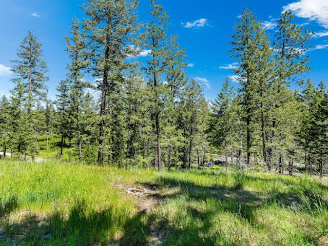 Land for sale in Bigfork, Montana