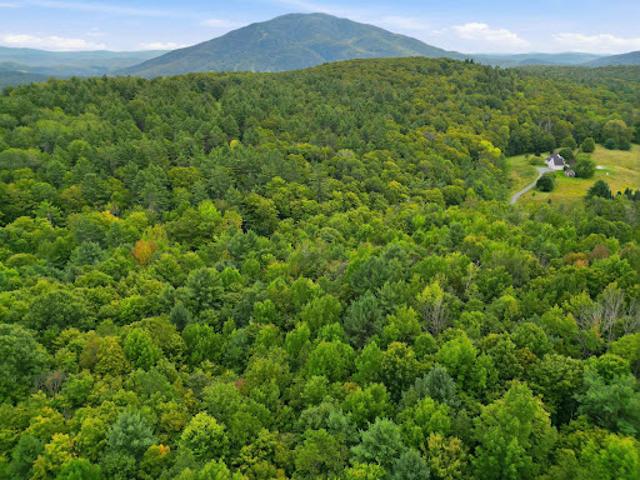 Land for sale in Reading, Vermont