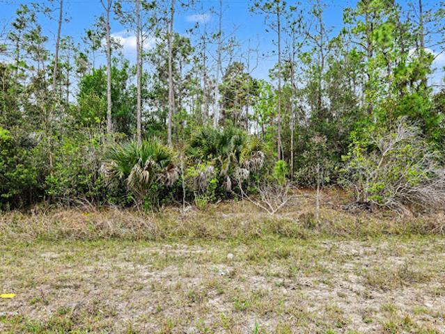 Land for sale in Lehigh Acres, Florida