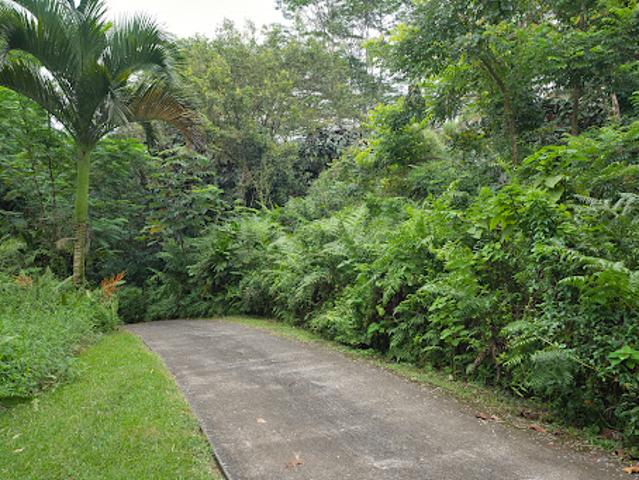 Land for sale in Papaikou, Hawaiʻi County