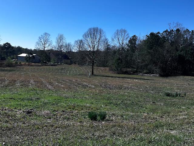 Land for sale in Palmetto, Georgia