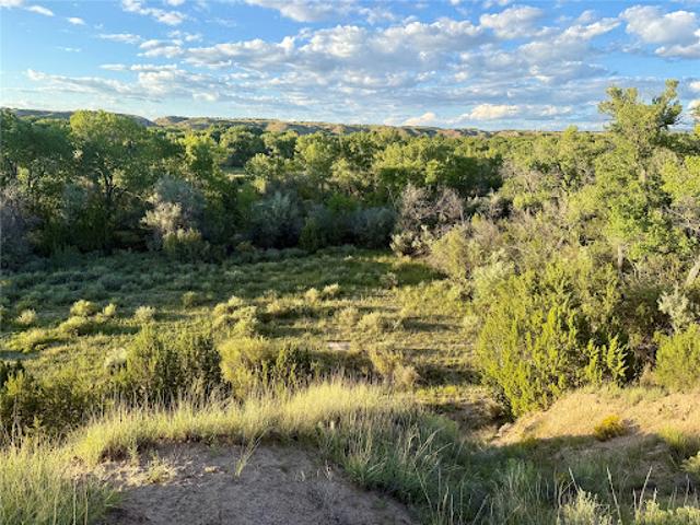 Land for sale in New Mexico