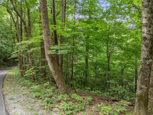 Land for sale in Rutherford, North Carolina