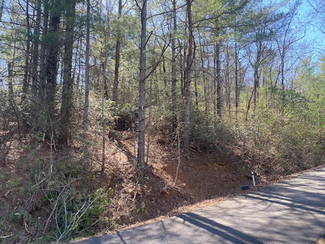 Land for sale in Georgia
